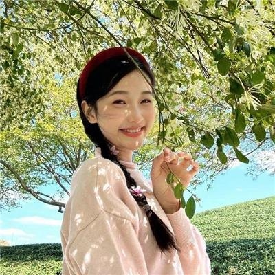 酒精计划